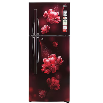 LG 240L Convertible Double Door Refrigerator