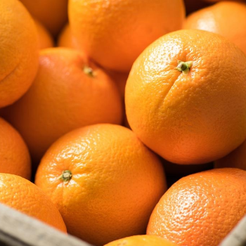 HALARI FRUIT CENTRE - Fresh Juicy Oranges - Vitamin C Delight in Rajkot