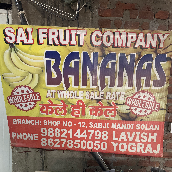 Fresh Bananas Wholesale - Best Prices
