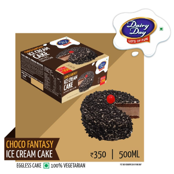 Choco Fantasy Ice Cream Cake 500ml Eggless Delight