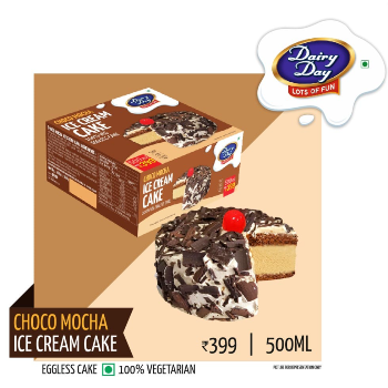 Choco Mocha Ice Cream Cake 500ml Eggless Treat