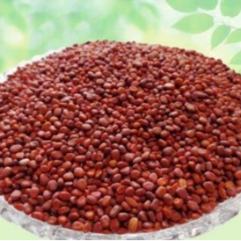 AGROS RYTHU SEVA KENDRAM 2 - Organic Heirloom Radish Seeds - 50g in JANGOAN