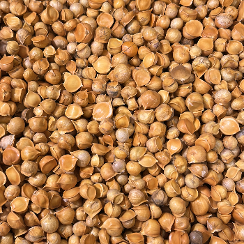 Snow Mountain Garlic Immunity Boost Cloves FEROZ AHMAD NAIK NEAR PARIS BAJAJ MUNAWARABAD SRINAGAR SRINAGAR NEAR FOUTAIN