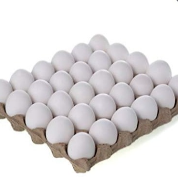 VINAYAGA TRADERS - Fresh Farm Egg - 1 Piece Protein-Rich Egg in Usilampatti