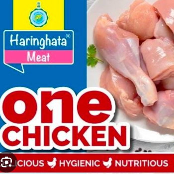 RONALD RAI - Fresh Whole Chicken - Cut & Cleaned in Kalimpong