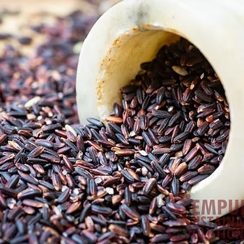 ASP TRADERS - Karuppu Kavuni Rice - ASP Traders in Abiramam