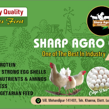 SHARP AGRO COMPANIES - Cage-Free Herbal Eggs in Khanna - Sharp Agro in Khanna