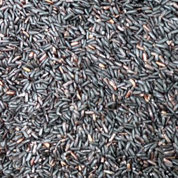 Karuppu Kavuni Rice package from ASP Traders in Abiramam, TN