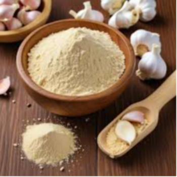 SEACLAP INTERNATIONAL - Premium Garlic Powder Rich Aroma All-Purpose Seasoning in Amravati
