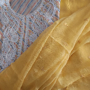  Elegant Ethnic Light Work Unstitched Suits VANATI Gujarat