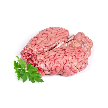 Fresh Mutton Brain Tender Bheja for Rich Gravies