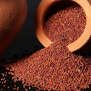 NACHYAR SUPER MARKET - Kepai Rice Nutritious Gluten-Free Millet Grain in TIRUNELVELI