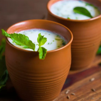SHAIK ALI - Refreshing Cultured Buttermilk Healthy Probiotic Drink in Nandyal