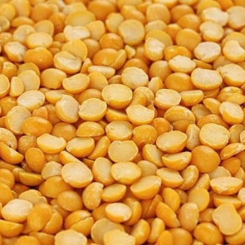 KUMMARI MAHESH - Nathi Gold Kandi Pappu 1kg Premium Toor Dal in Yemmiganur