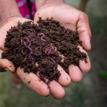 CALCUTTA TIRPAL TRADERS NX - Calcutta Tirpal Organic Vermicompost Fertilizer in Siliguri