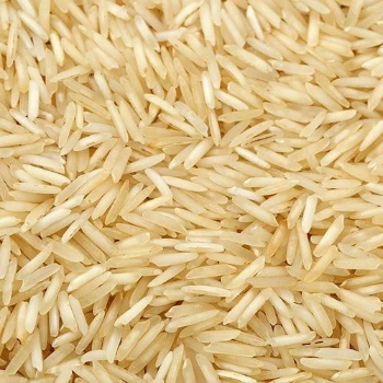 SHIVAJI KIRANA AND GENERAL STORE - Premium Basmati Rice - Aromatic Long-Grain in RANGAREDDY