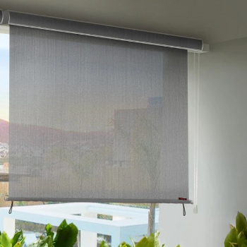 Hippo Roller Blinds in various colors displayed in a modern room in Adityanagar - Image 1