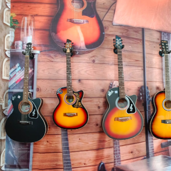  Sarlas Musicals Premium Guitars for Every Player SARLAS MUSICALS 85 3 KHALSA MOHALLANEAR ANARDANA CHOWKJAN KALYAN STREET NEAR DHUDIAL KHALSA SCHOOL PATIALA