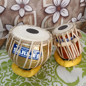 SARLAS MUSICALS - Sarlas Musicals Premium Tablas in Patiala