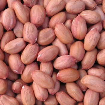 VIJAYA RICE MILL - Premium Peanut 1kg Protein-Rich Fresh Groundnuts Pack in NELLORE