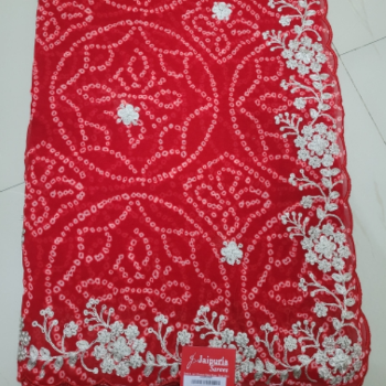 Jaipuria Sarees Elegant Ethnic Range of Designer Sarees - Image 2