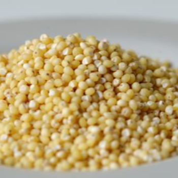 WELCOME SUPER MARKET - KORRA Foxtail Millet Premium Healthy Grain in Kurnool