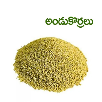 WELCOME SUPER MARKET - Andu Korralu Brown Top Millet - Healthy Grain in Kurnool