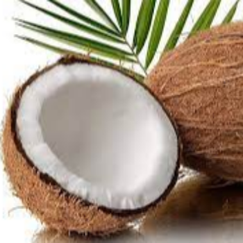 Fresh Coconut 1 kg Nutritious Cooking & Beverage Fruit