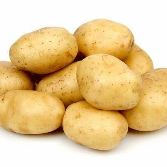 HALDER ENTERPRISE - Fresh Potato Rich Taste Versatile Cooking Vegetable in 24 Parganas (s)