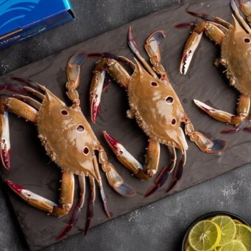 BJS FISH COMPNY - Fresh Crab Pithalu Premium Edible Crab Meat in Hyderabad