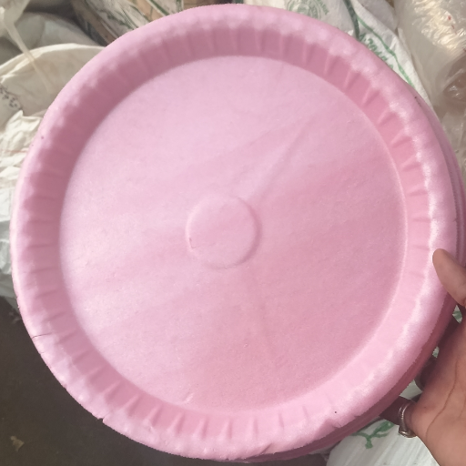 VIKAS SAHU - Durable Eco-Friendly Disposal Plate for All Occasions in Jaunpur