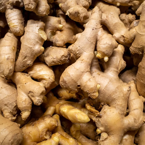  Gineger Premium Fresh Ginger Health Booster Root SAM AND CO WHOLESALE AND RETAIL SHOP St Xavier Church Junction,cape Road, Kottar, Nagercoil. / Collector Office Junction, Kp Road, Opposite To Lalithaa Jewellery, Nagercoil.