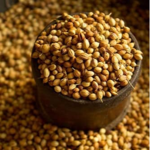  Premium Coriander Seeds Fresh Aroma Whole Spice SAM AND CO WHOLESALE AND RETAIL SHOP St Xavier Church Junction,cape Road, Kottar, Nagercoil. / Collector Office Junction, Kp Road, Opposite To Lalithaa Jewellery, Nagercoil.