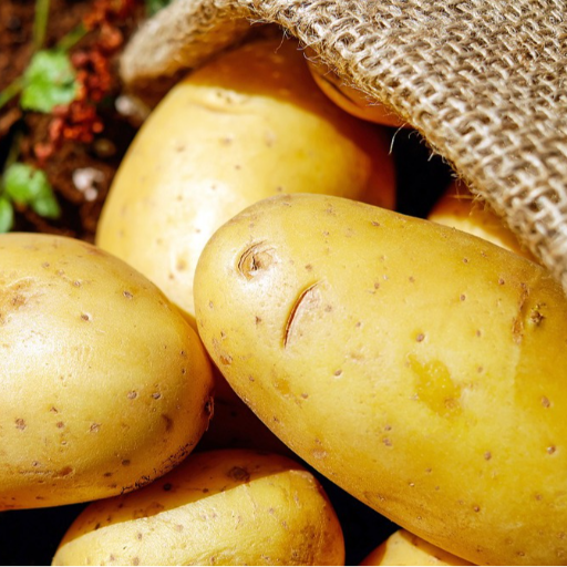  Fresh Potatoes Nutritious Daily Cooking Vegetable SAM AND CO WHOLESALE AND RETAIL SHOP St Xavier Church Junction,cape Road, Kottar, Nagercoil. / Collector Office Junction, Kp Road, Opposite To Lalithaa Jewellery, Nagercoil.