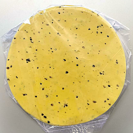 AADARSH PAPAD - Mung Papad Light Crispy Moong Dal Snack in Ahmedabad