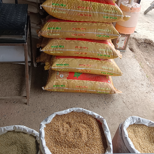 SAMARTH TRADERS - Bajari Premium Grain Wholesale Rate Per Quintal in Ahmednagar