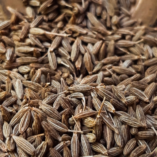RAJWADI TRADERS - Premium Rajwadi Cumin Seeds Bold Aroma Jeera in Jodhpur