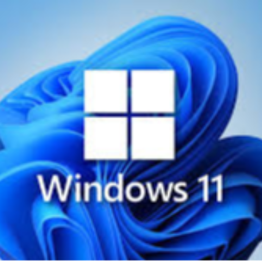 FOX LOGIC COMPUTERS - Windows Installation Services in Bardez in Bardez