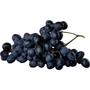 Fresh black grapes from Bagwan Fruits & Juice Centre in Pune, displayed in a basket.
