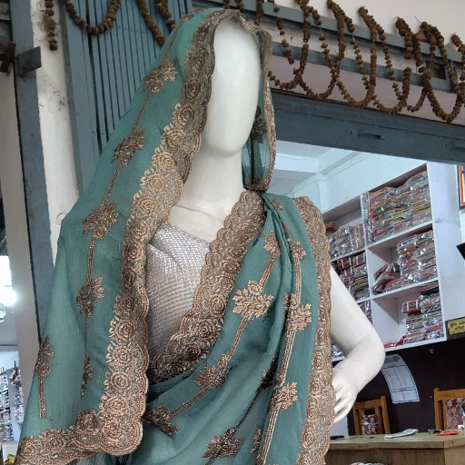 Shivshakti enterprises - Exquisite Light Asmani Silk Saree in Gorakhpur
