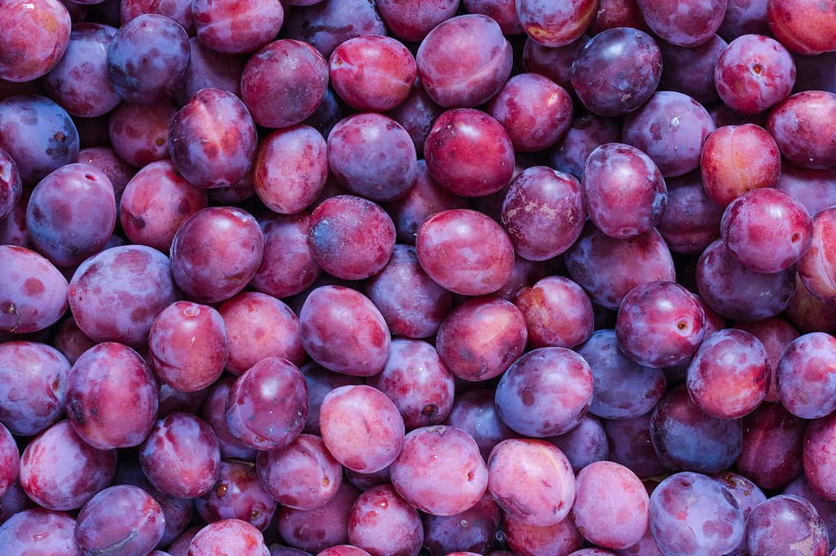 Fresh juicy sweet plums displayed at Bagwan Fruits & Juice Centre in , MH