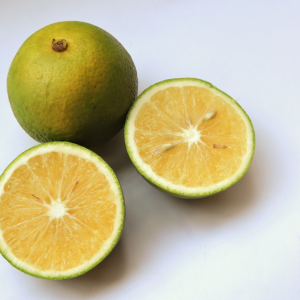 Bagwan Fruits and Juice Centre - Fresh Mausambi Juicy Sweet Citrus Fruits in MH