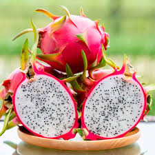 Bagwan Fruits and Juice Centre - Fresh White Dragon Fruit in , MH