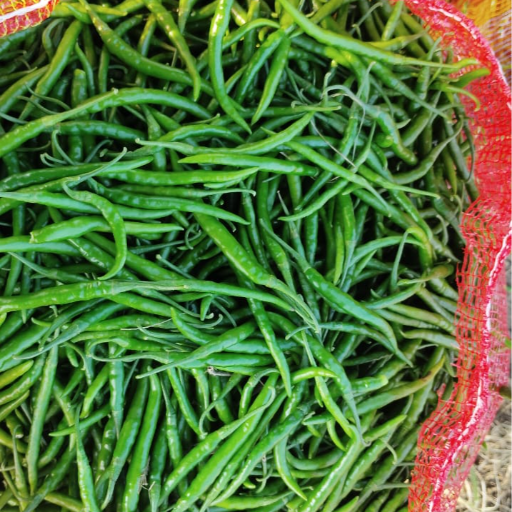 BADSHAH TRADERS 2 - Organic Green Chilli - Spicy Essence in Samastipur