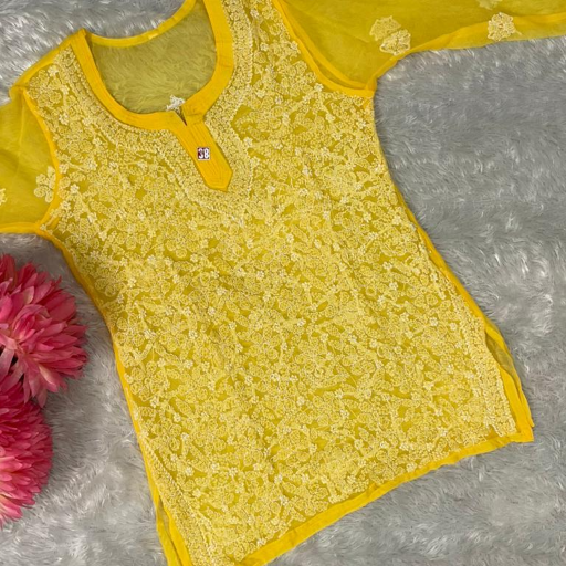 Elegant GEORGETTE JAAL WORK SHORT TOP with intricate designs, available in LUCKNOW, showcasing a stylish and comfortable fit. - Image 3