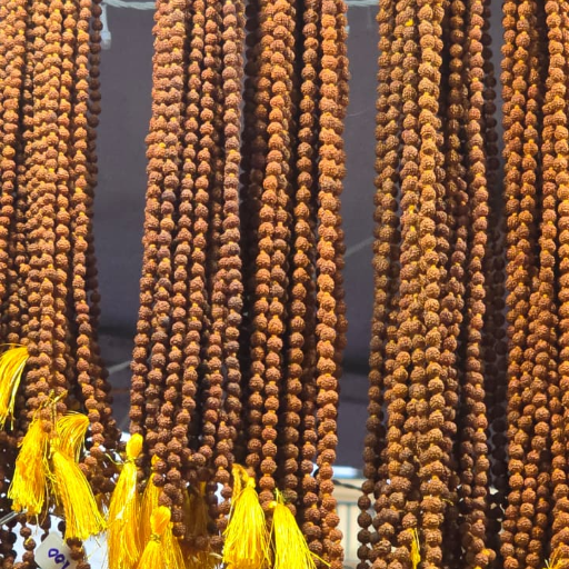 ROHIT SHYAM GANGAPUTRA - Rudraksh Mala with 108 Beads in TRIMBAKESHWAR