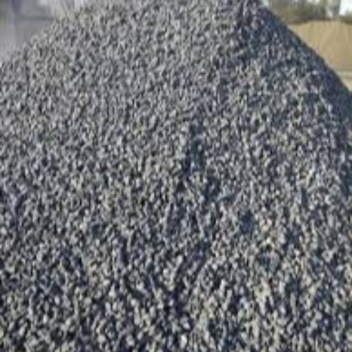  All type of grit and crusher for building Kota KIRAT BUILDING MATERIAL C O Kirat Building  Material Near  Bright Steps Play School Plot No 2 Ridhi Sidhi Nagar 120 Ft Road Borkhera Kota