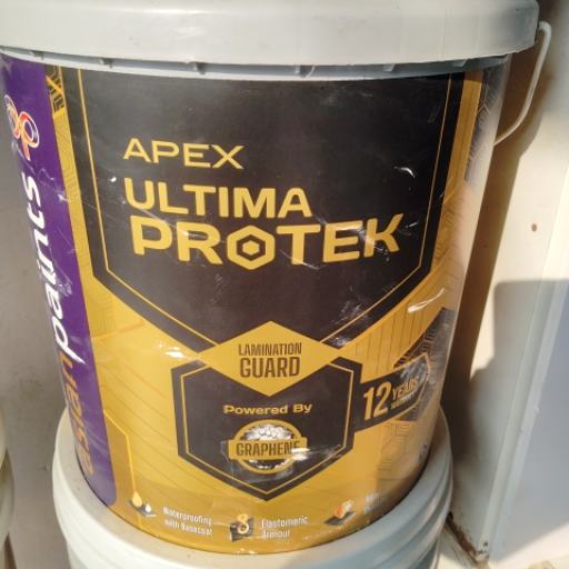 PAINT SHOPEE - Apex Ultima Protek in Danapur in DANAPUR