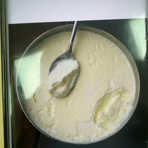 BOBBY - Home Made Curd Kit in Narwana - Easy Yogurt in NARWANA