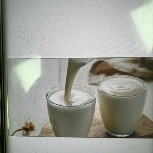 BOBBY - Dada Khera Milk Dairy Organic Milk in Narwana in NARWANA